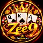Zee9 Game